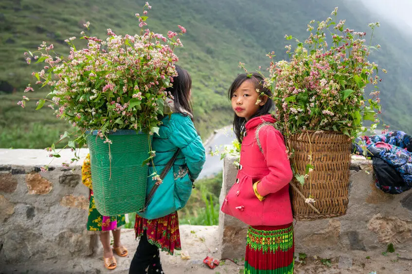 Poverty And COVID-19 Give Rise To Child Labor In Vietnam